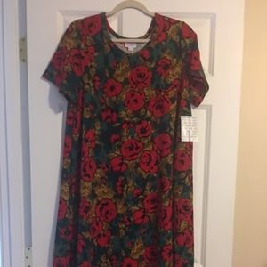 LuLaRoe Carly dress